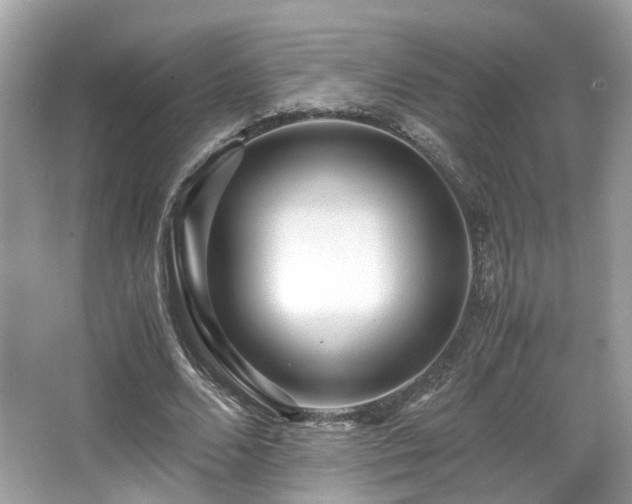 X0000067000680200603271341