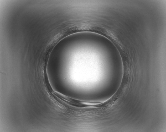 X0000067000681200603271341