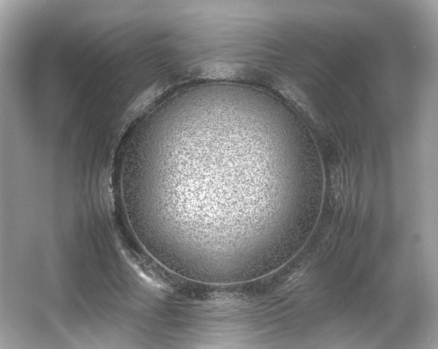X0000067000682200603271341