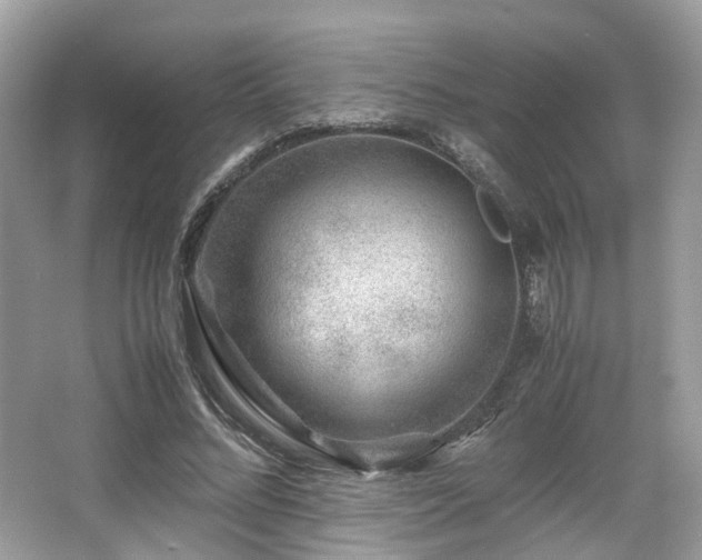 X0000067000684200603271341