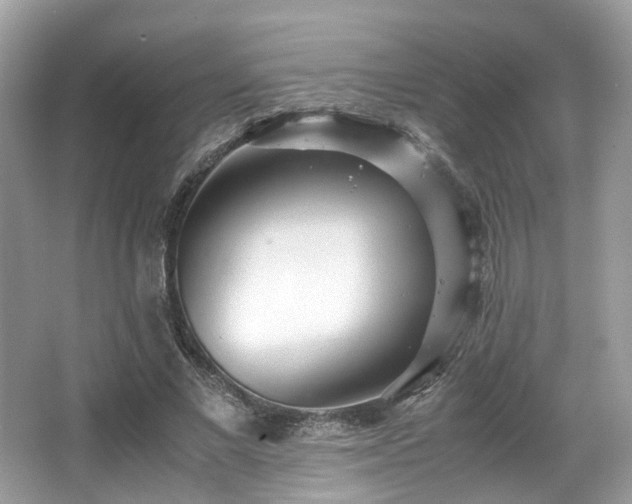 X0000067000685200603271341