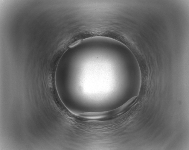 X0000067000689200603271341