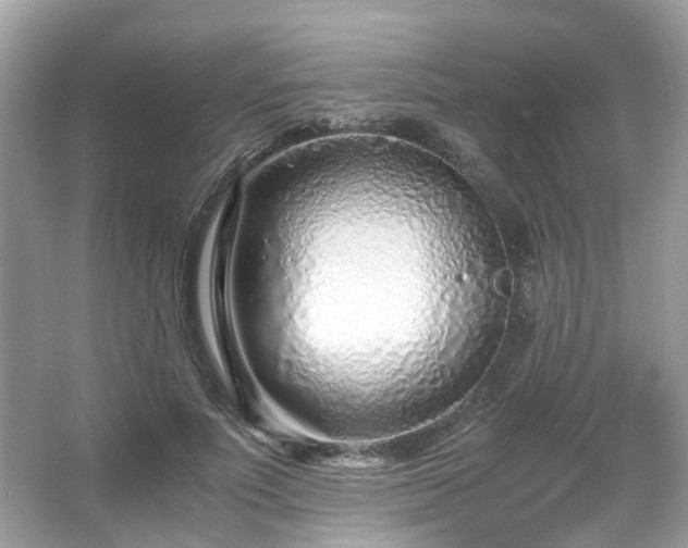 X0000067000691200603271340