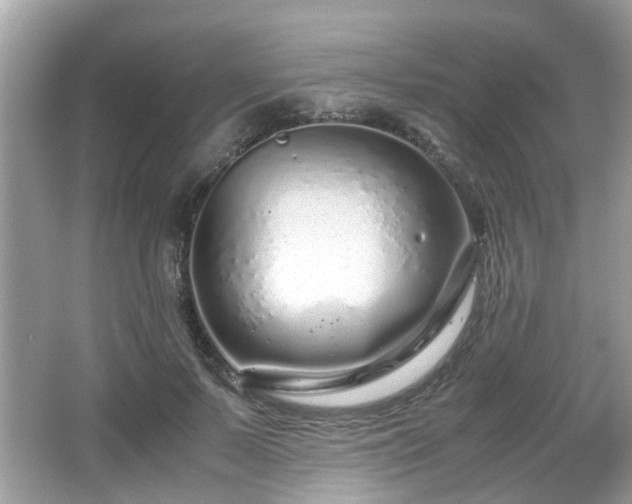 X0000067000695200603271340