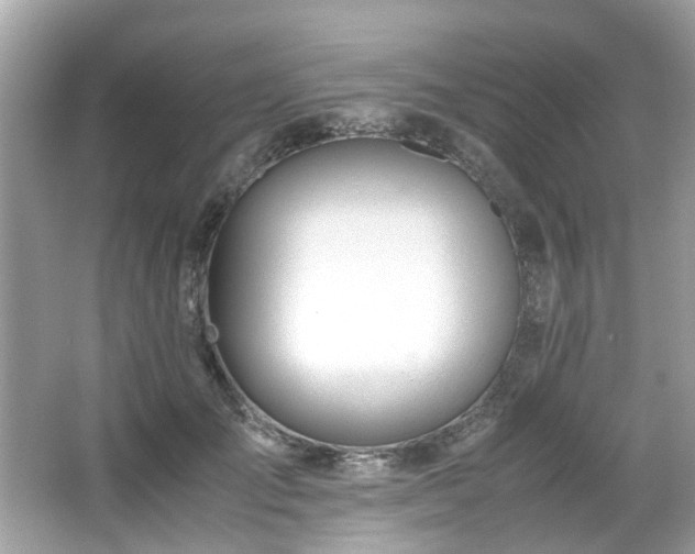 X0000067000701200603271340
