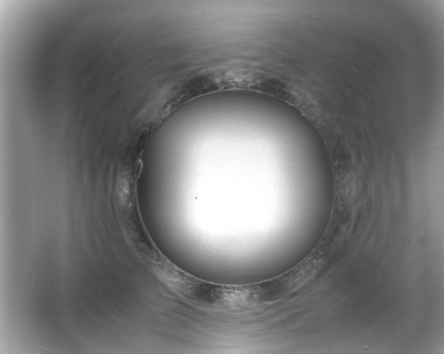 X0000067000709200603271340