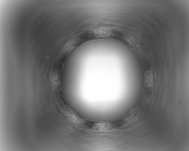 X0000067000713200603271340