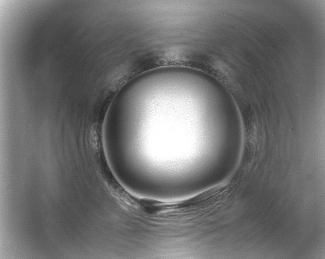 X0000067000715200603271340