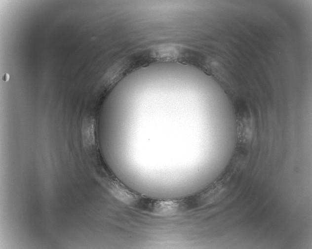 X0000067000717200603271340