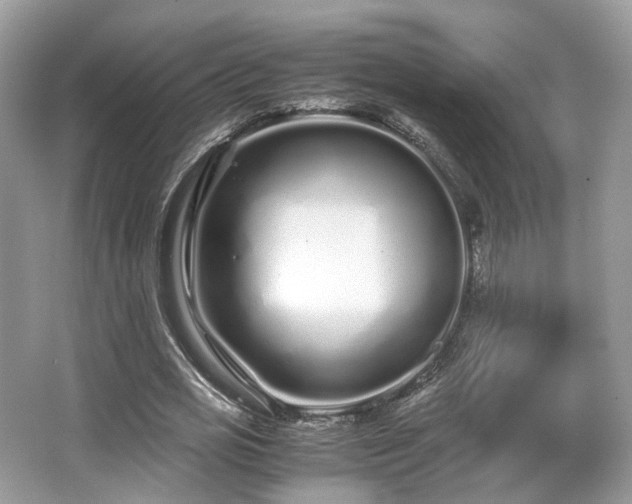 X0000067000725200603271339