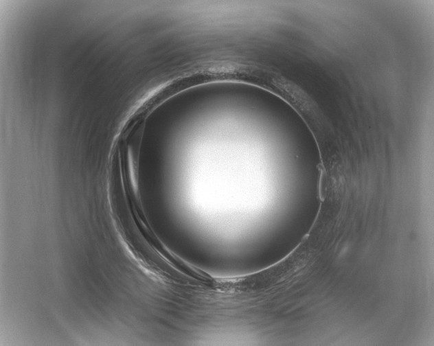 X0000067000728200603271339