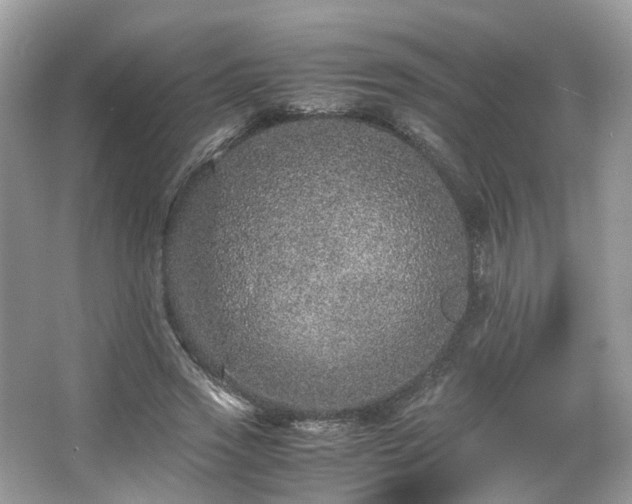 X0000067000733200603271339