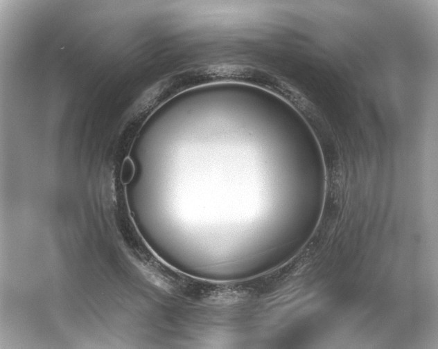 X0000067000734200603271339