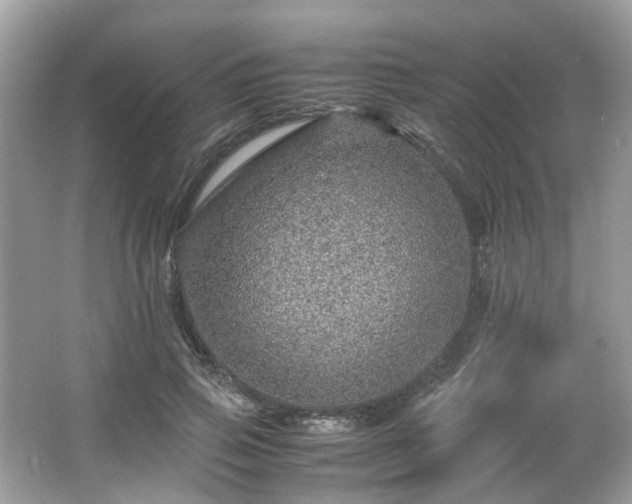 X0000067000741200603271340