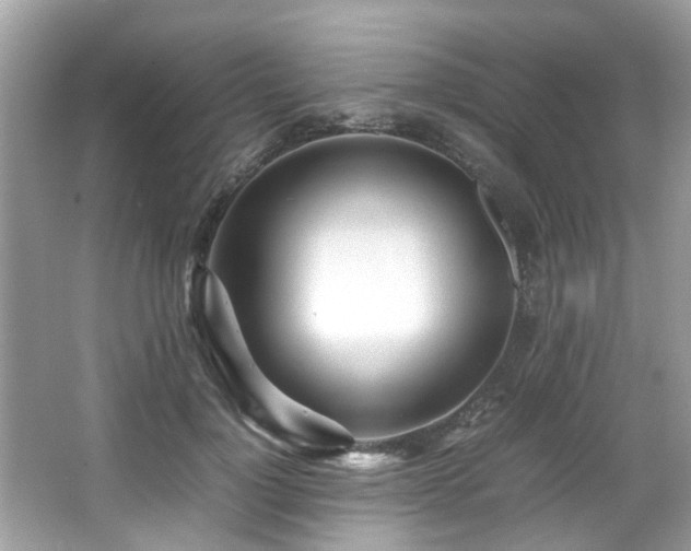 X0000067000748200603271340
