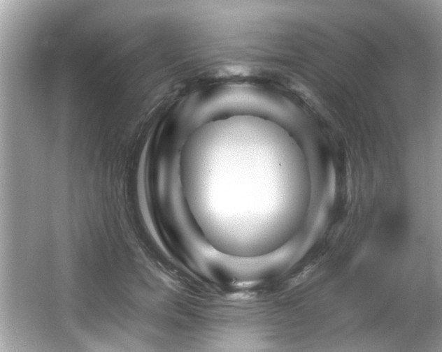 X0000067000750200603271340