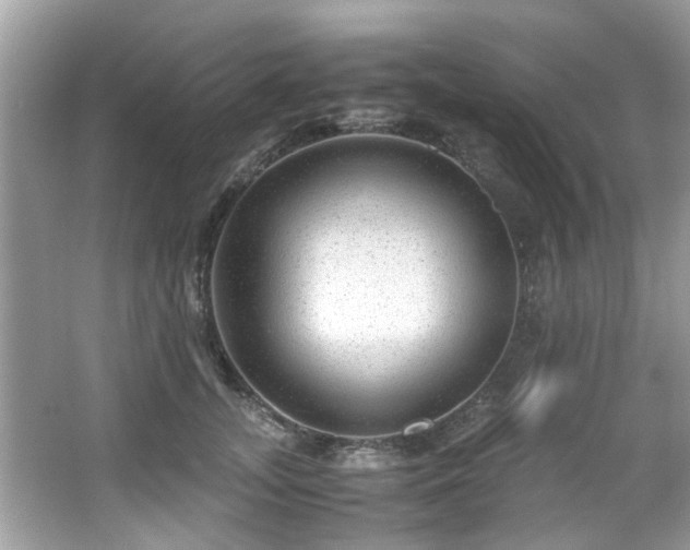 X0000067000755200603271340