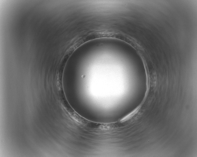 X0000067000764200603271340