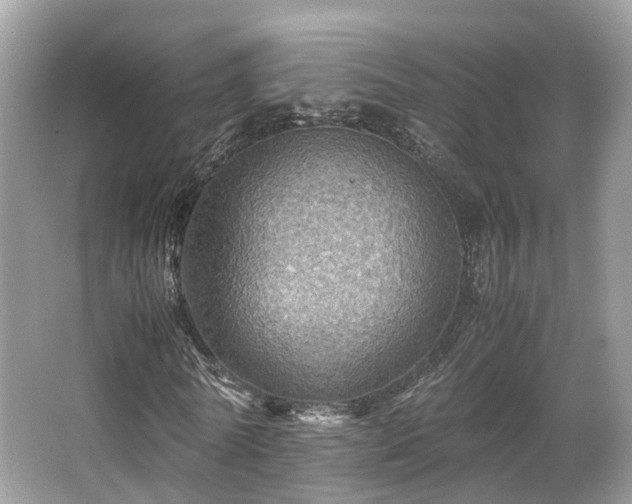X0000067000770200603271339