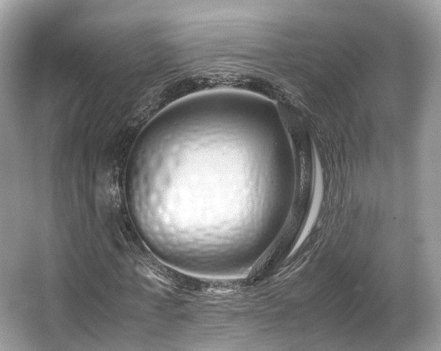 X0000067000771200603271339