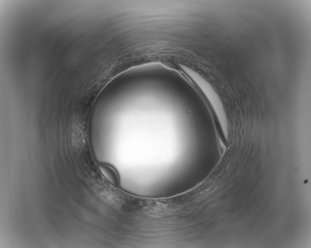 X0000067000772200603271339