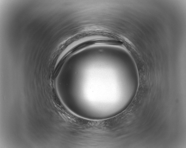 X0000067000775200603271339