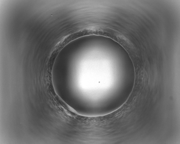 X0000067000776200603271339