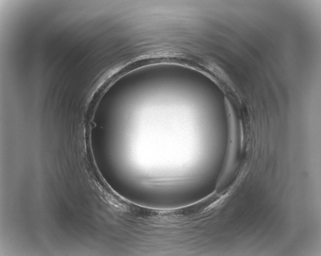 X0000067000781200603271339