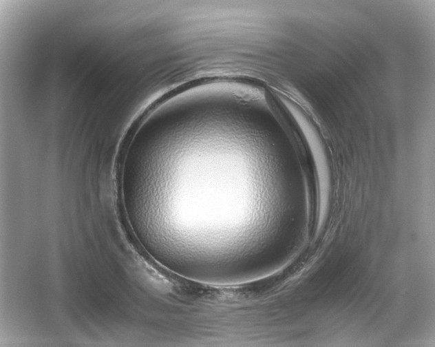 X0000067000787200603271339