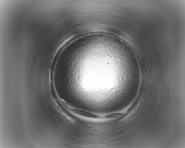 X0000067000790200603271339