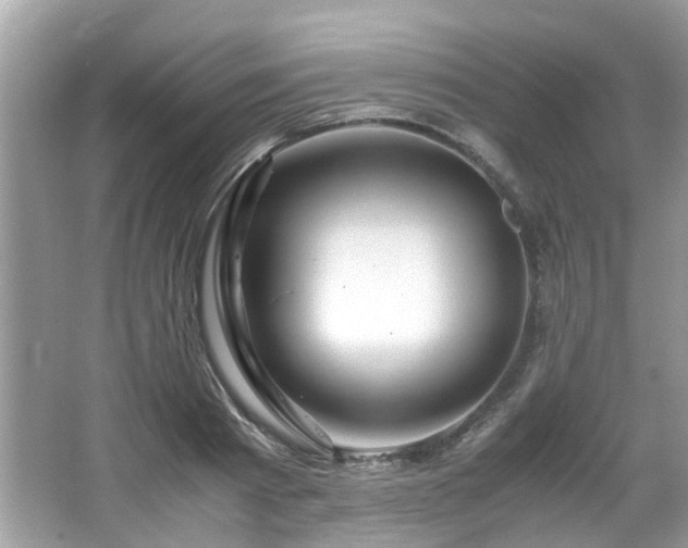X0000067000793200603271339