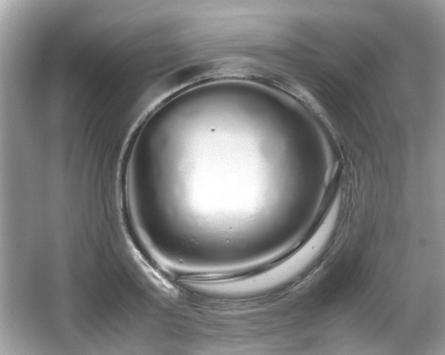 X0000067000795200603271339