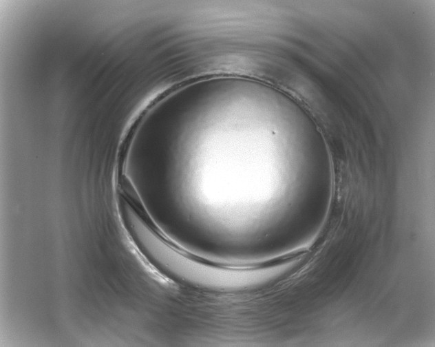 X0000067000796200603271339