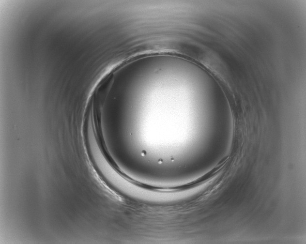 X0000067000797200603271339