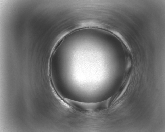 X0000067000815200603271338