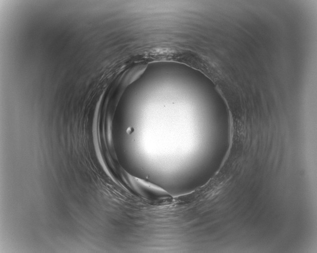 X0000067000818200603271338