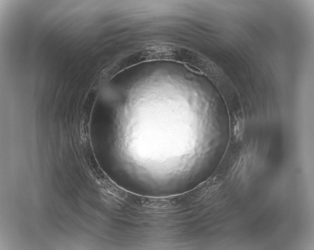 X0000067000819200603271338
