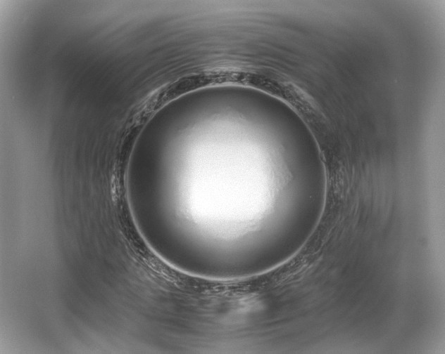 X0000067000821200603271338