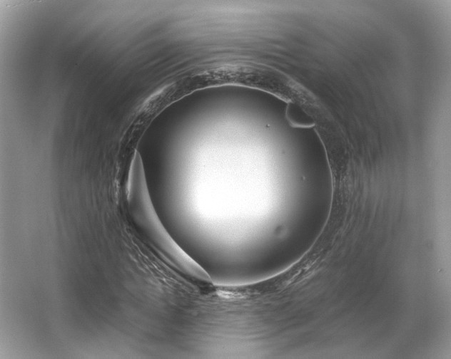 X0000067000822200603271338
