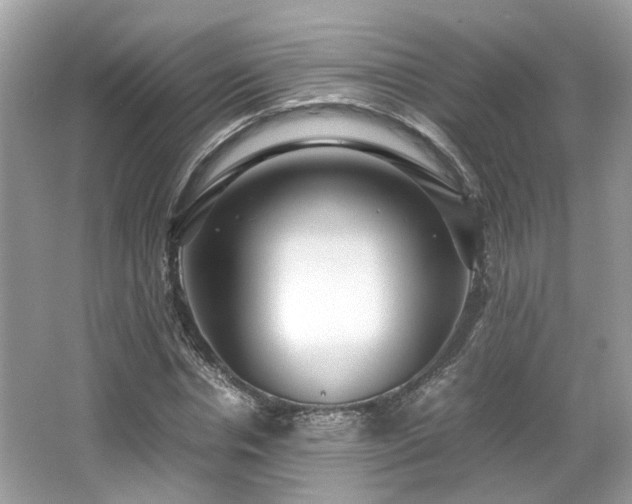 X0000067000826200603271338
