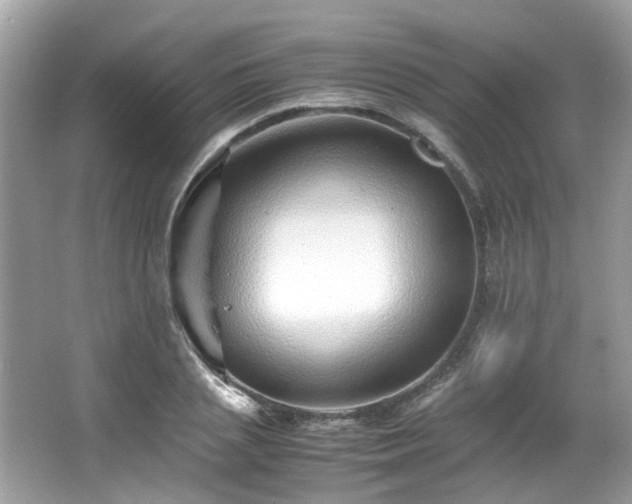 X0000067000837200603271338