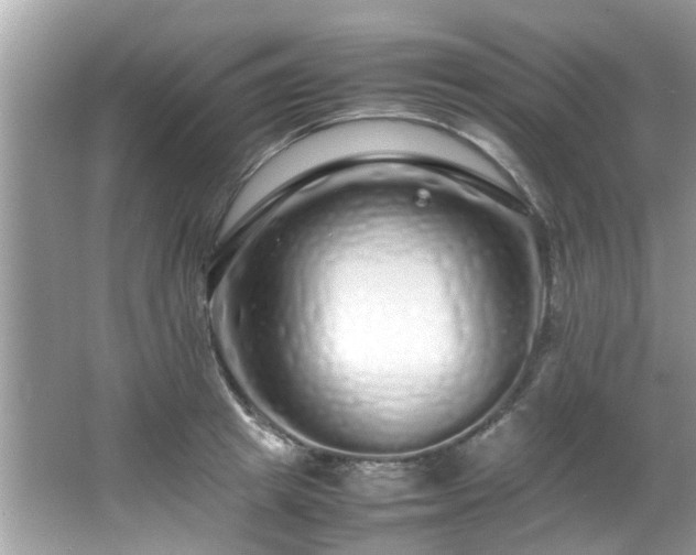 X0000067000849200603271338