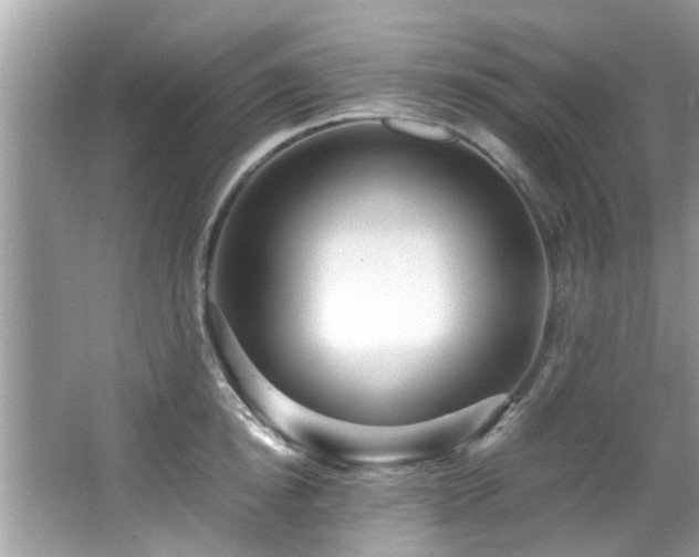 X0000067000854200603271338
