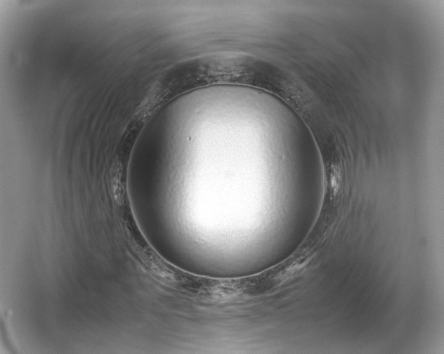 X0000067000867200603271338