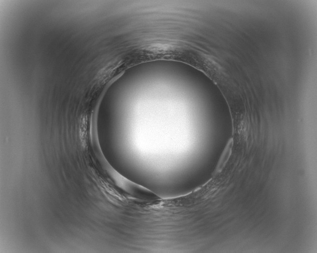 X0000067000868200603271338