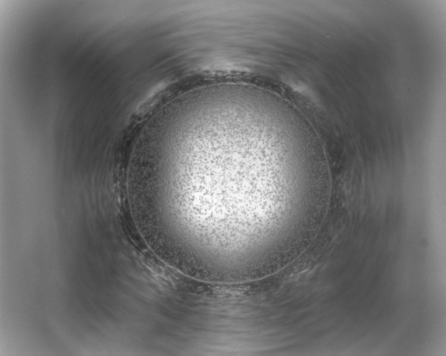 X0000067000870200603271337