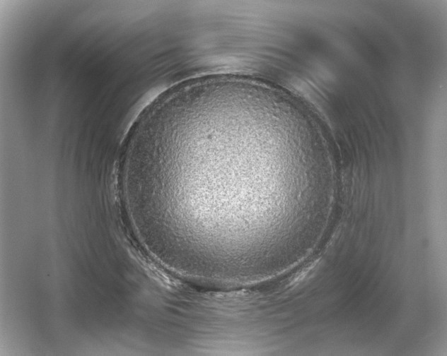 X0000067000875200603271337