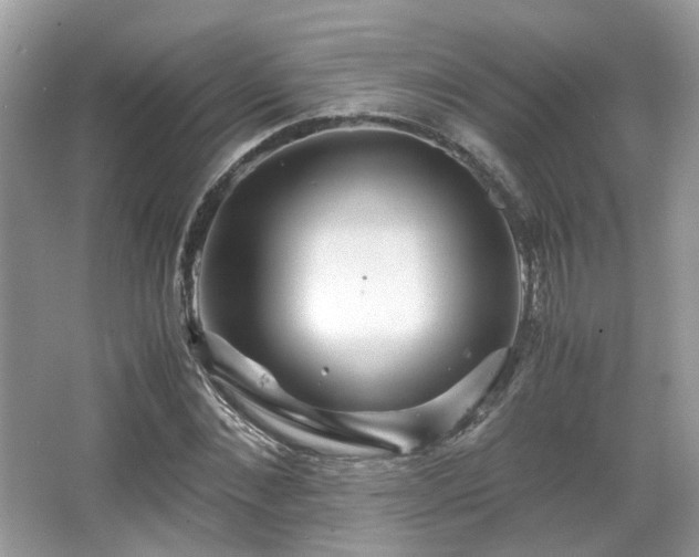 X0000067000876200603271337