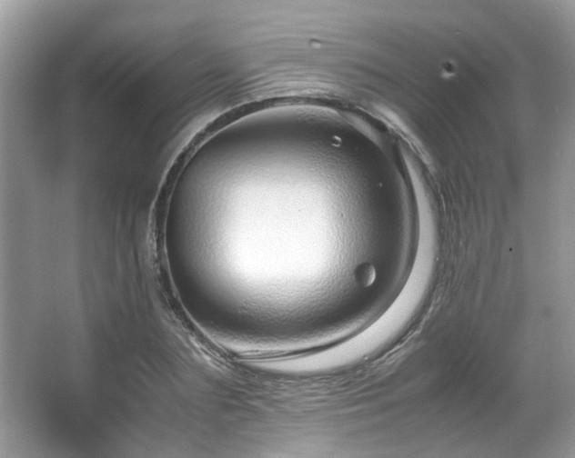 X0000067000883200603271337