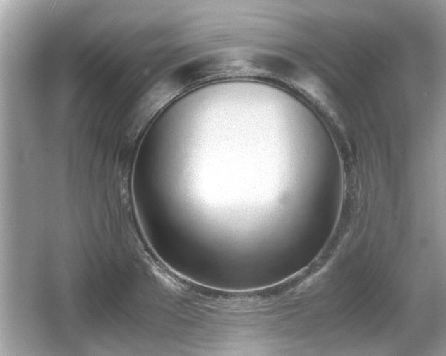 X0000067000889200603271337